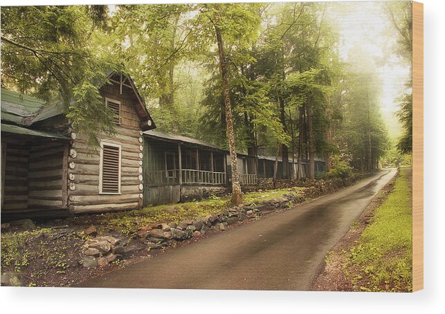 Abandoned Houses Wood Print featuring the photograph Elkmont In The Smokies by Mike Eingle