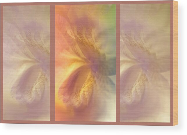 Iris Wood Print featuring the photograph Ethereal Life. Tryptich. Interior Ideas by Jenny Rainbow