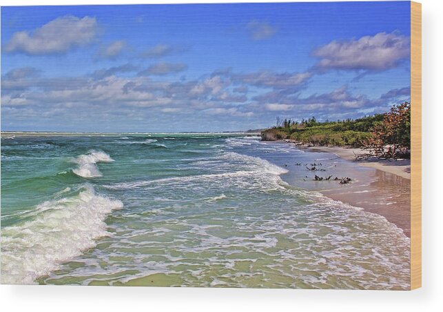 Florida Beaches Wood Print featuring the photograph Florida Gulf Coast Beaches by HH Photography of Florida