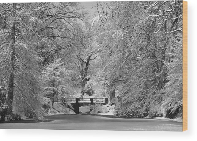 Winter Wood Print featuring the photograph Fresh Snowfall at Mount Auburn Cemetery by Ken Stampfer