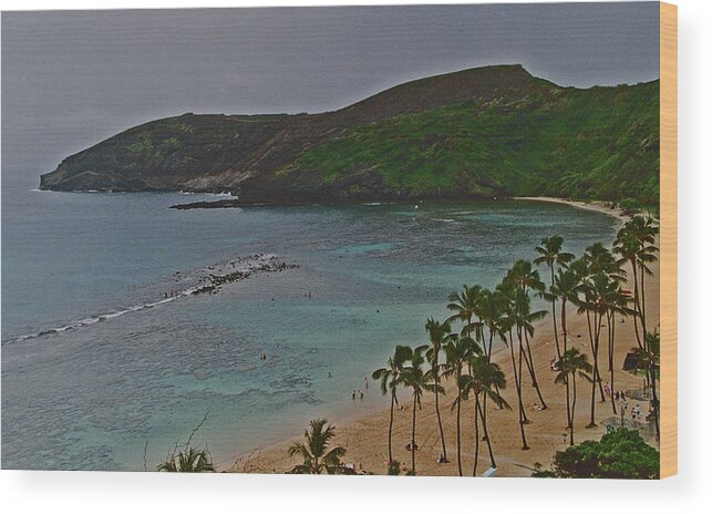 Beach Wood Print featuring the photograph Hanauma Bay, Oahu ,Hawaii by Bess Carter