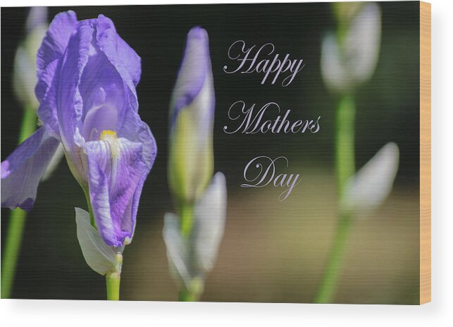 Happy Mothers Day Wood Print featuring the photograph Happy Mothers Day by Tikvah's Hope