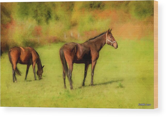 Horse Wood Print featuring the digital art Horses in the Pasture by Ken Morris