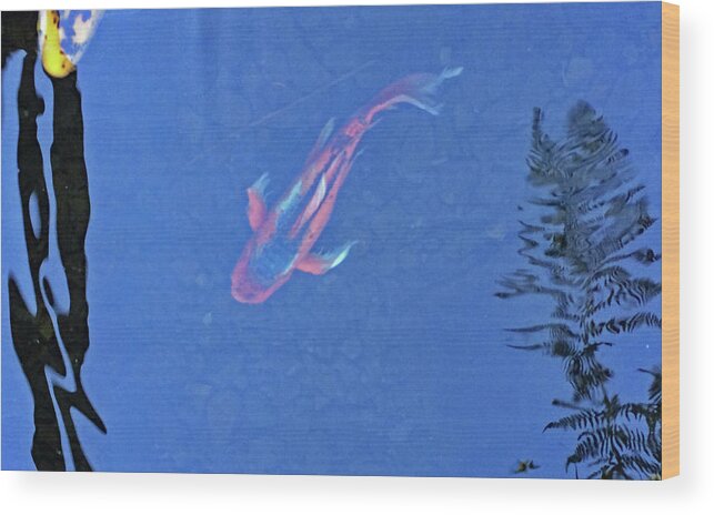 Koi Wood Print featuring the photograph Koi No. 5-1 by Sandy Taylor
