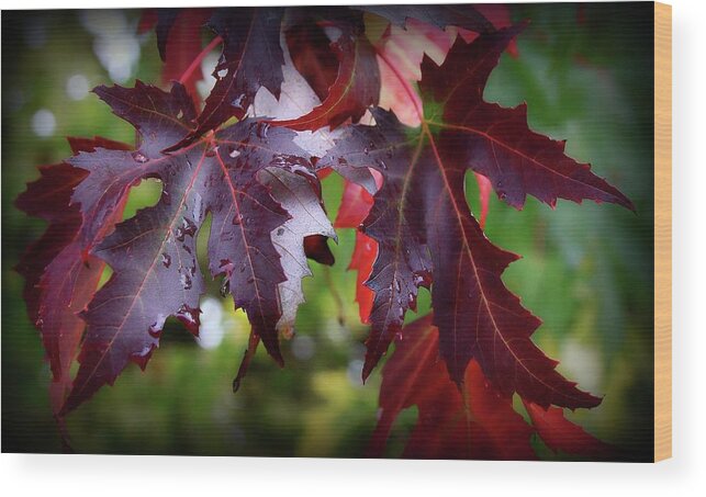 Autumn Wood Print featuring the photograph Let The Show Begin by KATIE Vigil