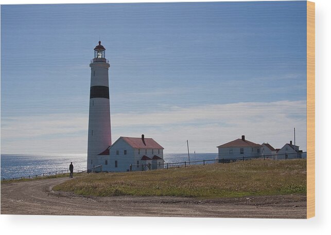 Point Amour Wood Print featuring the photograph Lighthouse Labrador by Tatiana Travelways