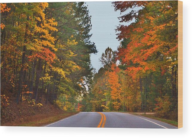 Trees Wood Print featuring the photograph Lovely Autumn Trees by Eileen Brymer