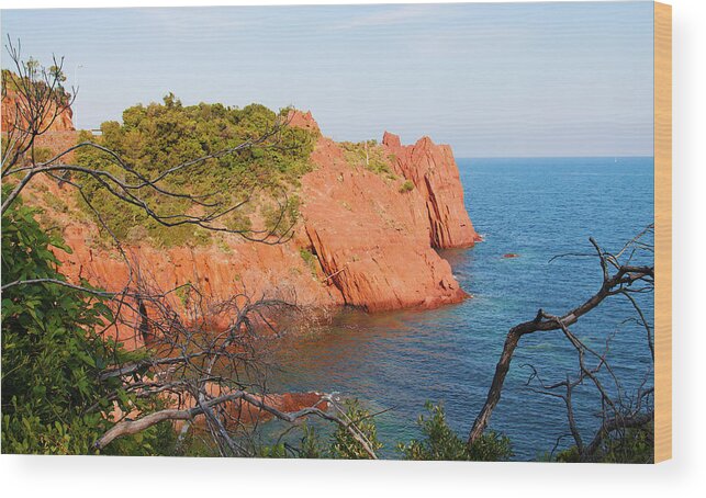 Mediterranean Wood Print featuring the photograph Mediterranean coast in Provence by Tatiana Travelways