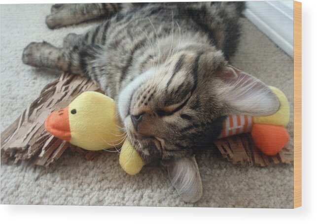 Yellow Ducky Wood Print featuring the photograph Mikino and Ducky Naptime by Jaeda DeWalt
