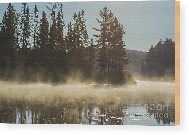 Trees Wood Print featuring the photograph Mist on Costello Lake by Jale Fancey