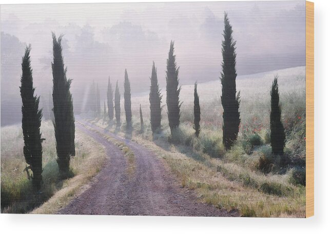 Tuscany Wood Print featuring the photograph Misty Morning in Tuscany by Marion McCristall
