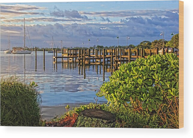 Waterscape Wood Print featuring the photograph Morning Glory 2 by HH Photography of Florida