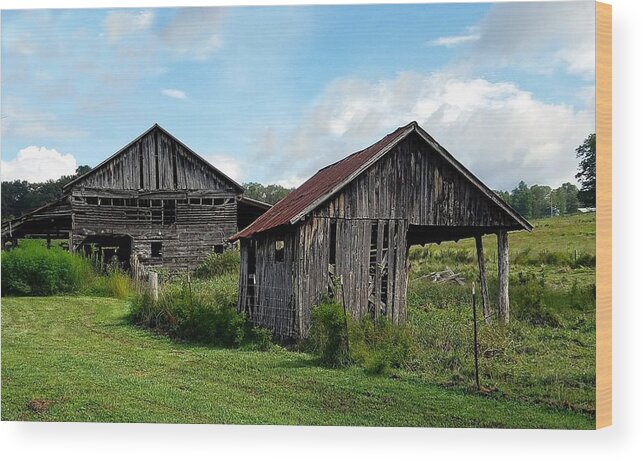 Cabin Wood Print featuring the photograph Murphy Highway Twosome by Joe Duket