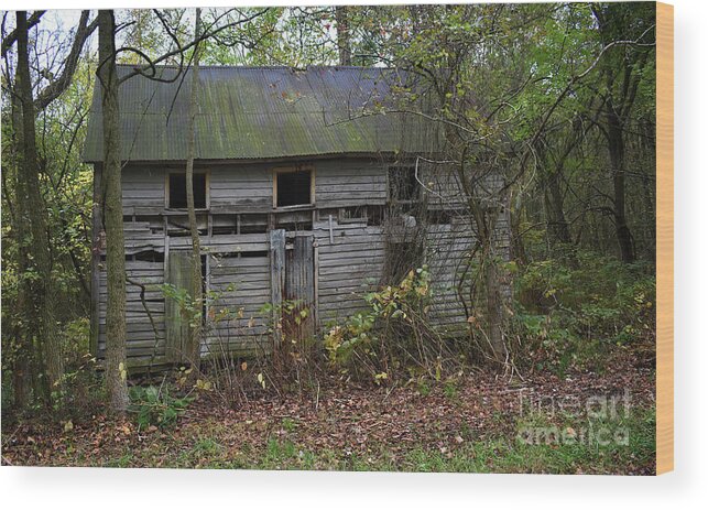 Scenic Wood Print featuring the photograph Of Days Gone By by Skip Willits