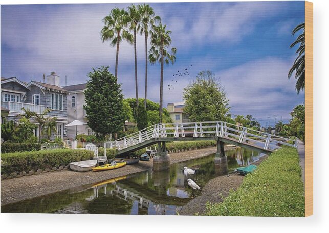 Venice Wood Print featuring the photograph Palms and Egrets at the Venice Canals by Lynn Bauer