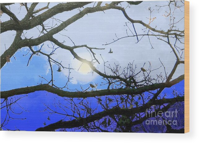 Avian Wood Print featuring the photograph Roosting Birds in Blue by Janette Boyd