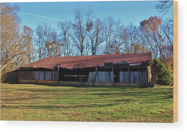 Building Wood Print featuring the photograph Rustic Shed by Cynthia Guinn