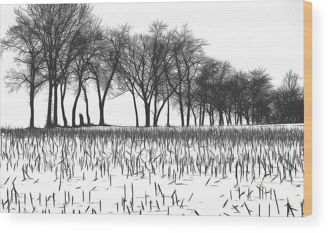 Nature Wood Print featuring the photograph Snow Bare Trees Black White by Chuck Kuhn