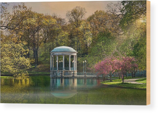 Spring Wood Print featuring the photograph Splash of Pink by Robin-Lee Vieira