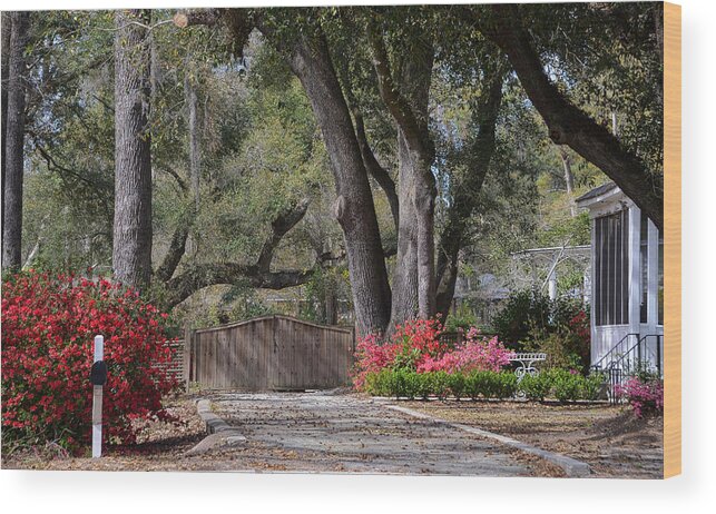 Flowers Wood Print featuring the photograph Spring Gate by Linda Brown