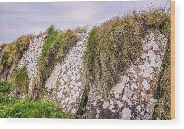 Ireland Rocks Series By Lexa Harpell Wood Print featuring the photograph Stone Fence Cliffs of Moher Ireland by Lexa Harpell