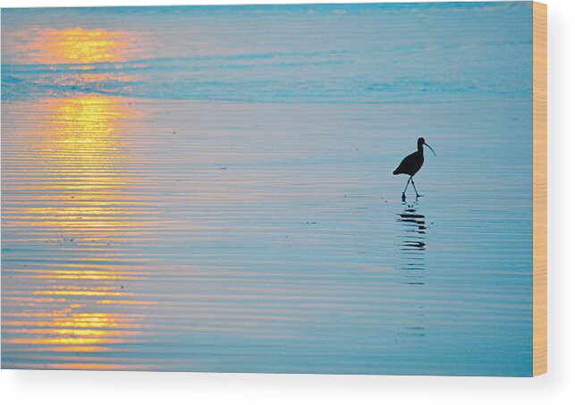 Seascape Wood Print featuring the photograph Sunset Stroll by AJ Schibig