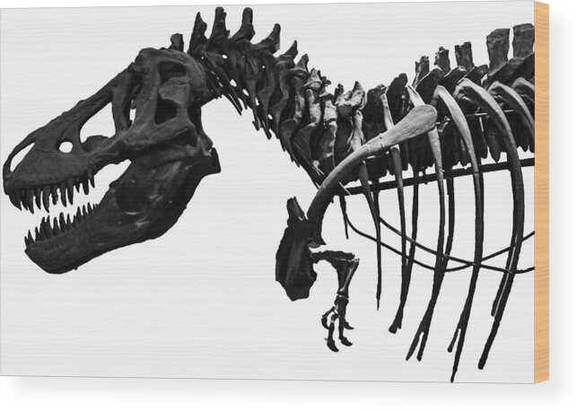 Trex Wood Print featuring the photograph T-Rex by Martin Newman