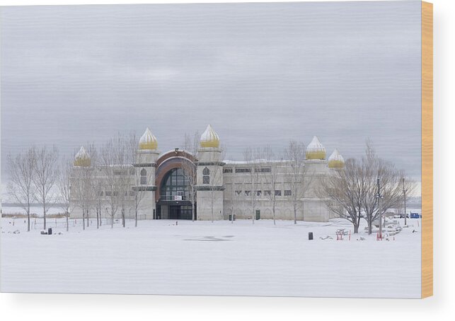 Salt Palace Wood Print featuring the photograph The Salt Palace in Winter by Cathy Anderson