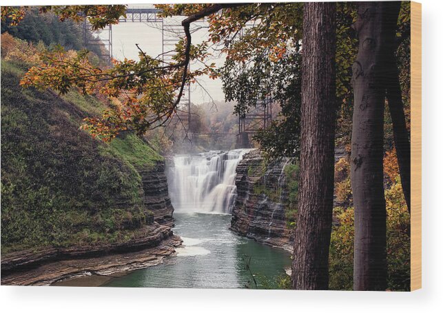 Letchworth State Park Wood Print featuring the photograph Through The Trees by Peter Chilelli