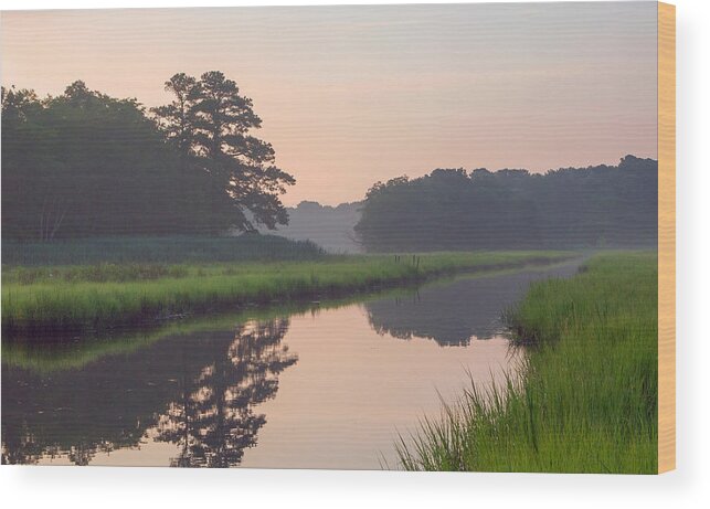 Pond Wood Print featuring the photograph Tranquil Reflections by Allan Levin