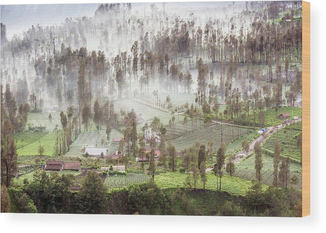 Landscape Wood Print featuring the photograph Village covered with mist by Pradeep Raja Prints