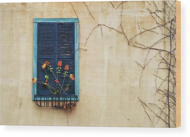 Window Wood Print featuring the photograph Window Art by Blaine Owens