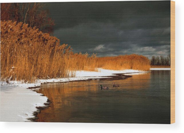 Winter Storm Wood Print featuring the photograph Winter Storm by Brian Fisher