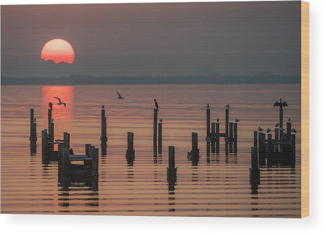 Space Mission Wood Print featuring the photograph The Florida Space Coast Surrounding #1 by The Washington Post