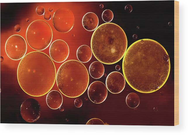Black Color Wood Print featuring the photograph Abstract Red Bubbles by Zeljkosantrac