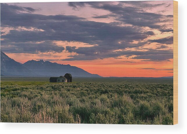 Morning In Grand Teton Wood Print featuring the photograph Another Morning by Danling Gu