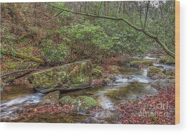 Boggs-creek Wood Print featuring the photograph Boggs Creek by Bernd Laeschke