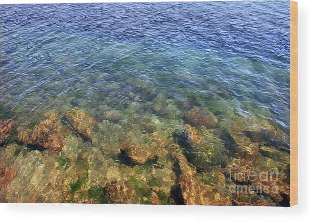 Clear Water At Morro Bay Wood Print featuring the photograph Clear Water At Morro Bay by Michael Rock