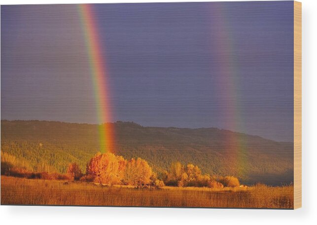Rainbow Wood Print featuring the photograph Double Gold by Tom Gresham
