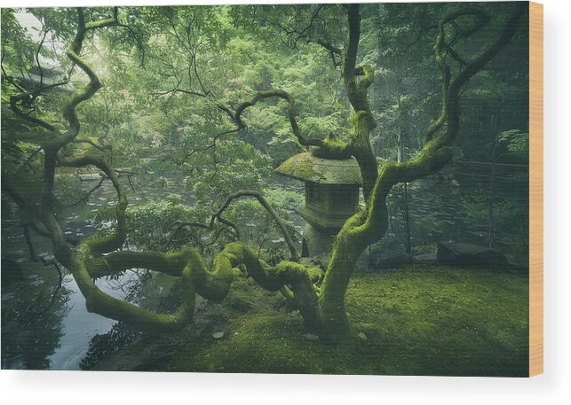 Garden Wood Print featuring the photograph Japanese Tree by Javier De La Torre
