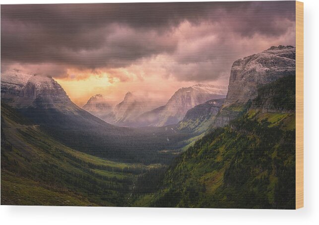 Forest Wood Print featuring the photograph Mountain View (glacier National Park) by Yy Db