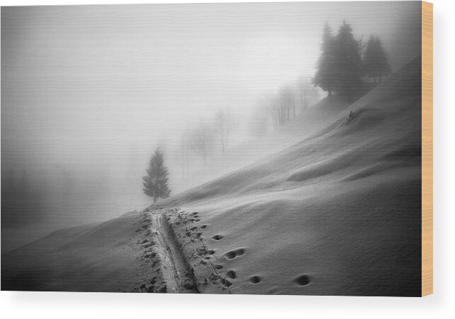 Winter Wood Print featuring the photograph Path To The Tree by Ales Krivec