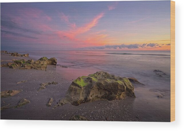 Water Wood Print featuring the photograph Pink Clouds by Steve DaPonte