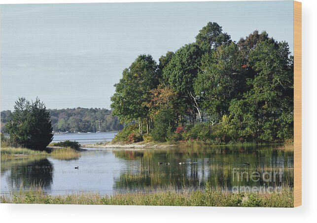 Water Wood Print featuring the photograph Reflections on a September Day by Dianne Morgado