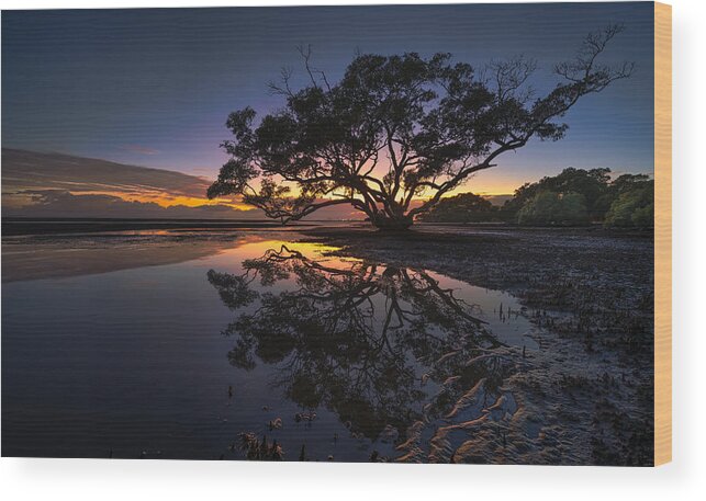Mangrove Wood Print featuring the photograph Silhouettes And Ripples by Emanuel Papamanolis