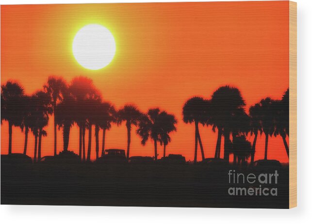Florida Wood Print featuring the photograph Some Like It Hot by Marvin Spates