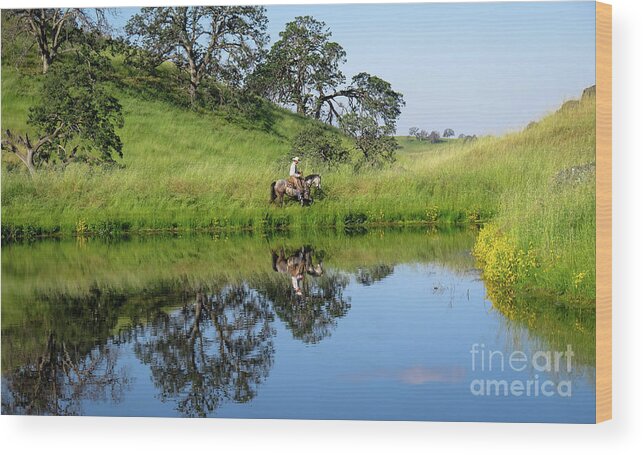 California Landscape Wood Print featuring the photograph Springs Reflection by Diane Bohna