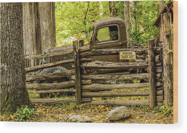 Old Wood Print featuring the photograph Treasure Behind the Fence by Marcy Wielfaert