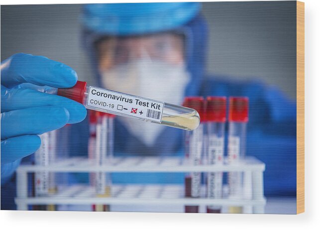 Medical Research Wood Print featuring the photograph Examining coronavirus COVID 19 medical samples on kits novel corona virus outbreak #1 by Hocus-focus