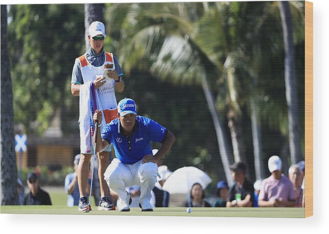 Waialae Country Club Wood Print featuring the photograph Sony Open In Hawaii - Round One #31 by Sam Greenwood